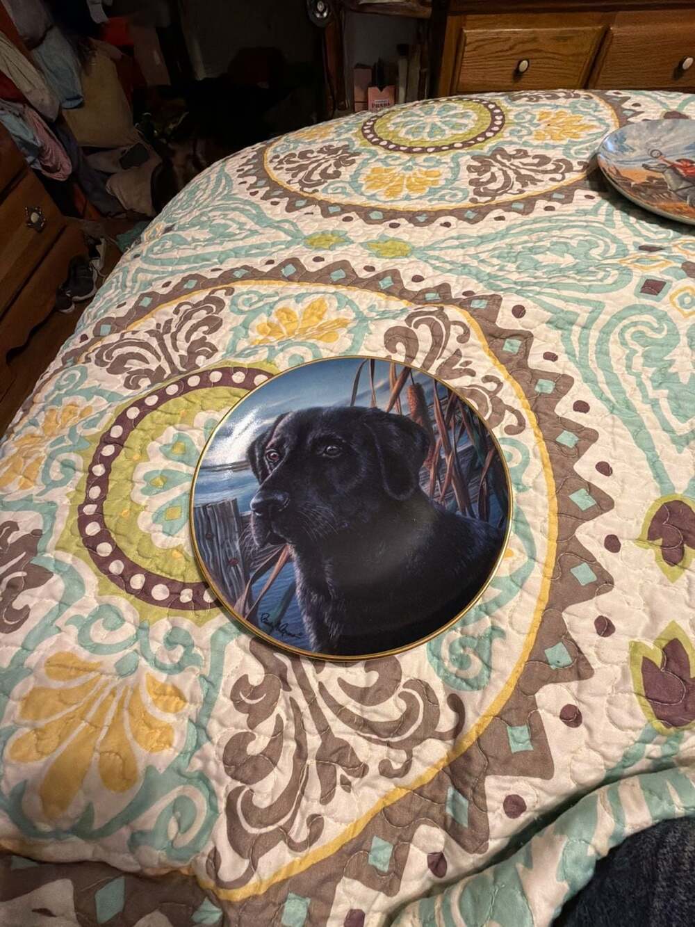 Franklin Mint Man's Best Friend Limited Edition Black Labrador Collector Plate